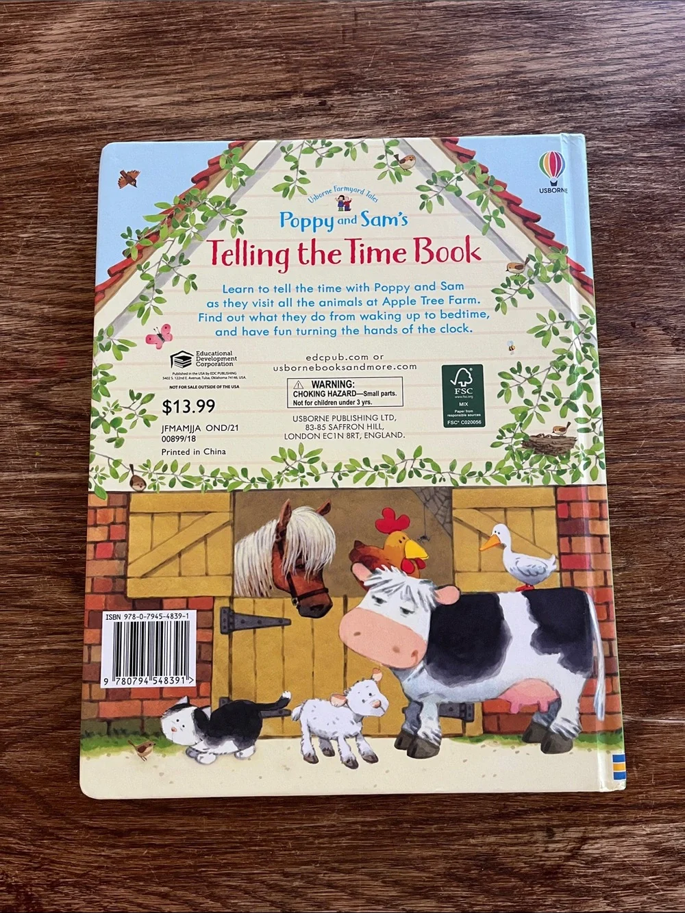 Usborne Poppy and Sam’s Telling the Time Book -